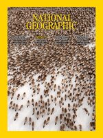 National Geographic Magazine - UK